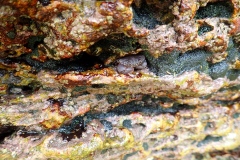 P3212336