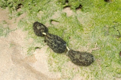 P3212343