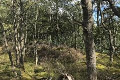 IMG_0030