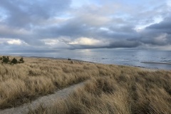 IMG_9078